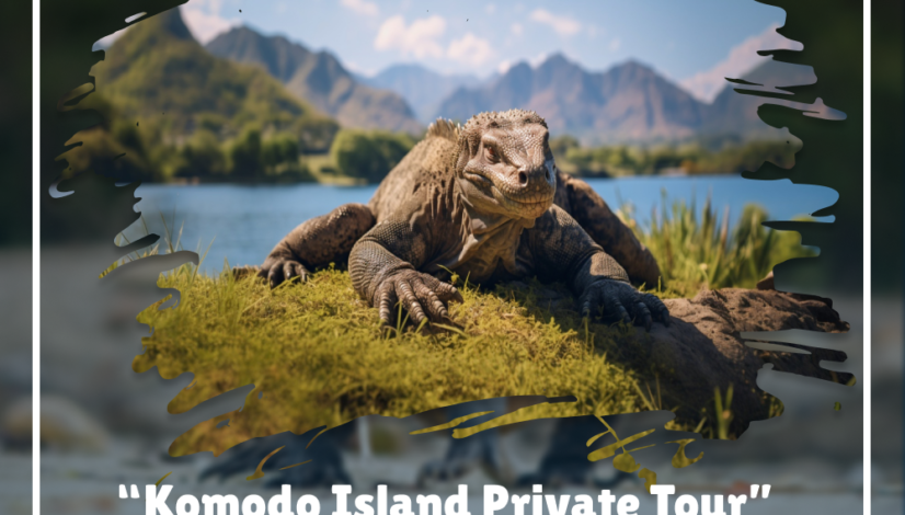Blog_3_Visit Komodo Now