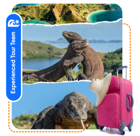 Profile Picture_visit Komodo Now